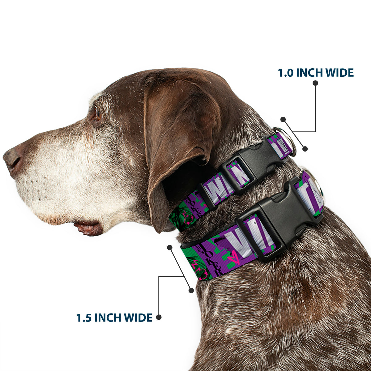 Plastic Clip Collar - THE JOKER WANTED Smiling Pose and Graffiti Purples/Greens Dog Collars Plastic Clip Side Release DC Comics