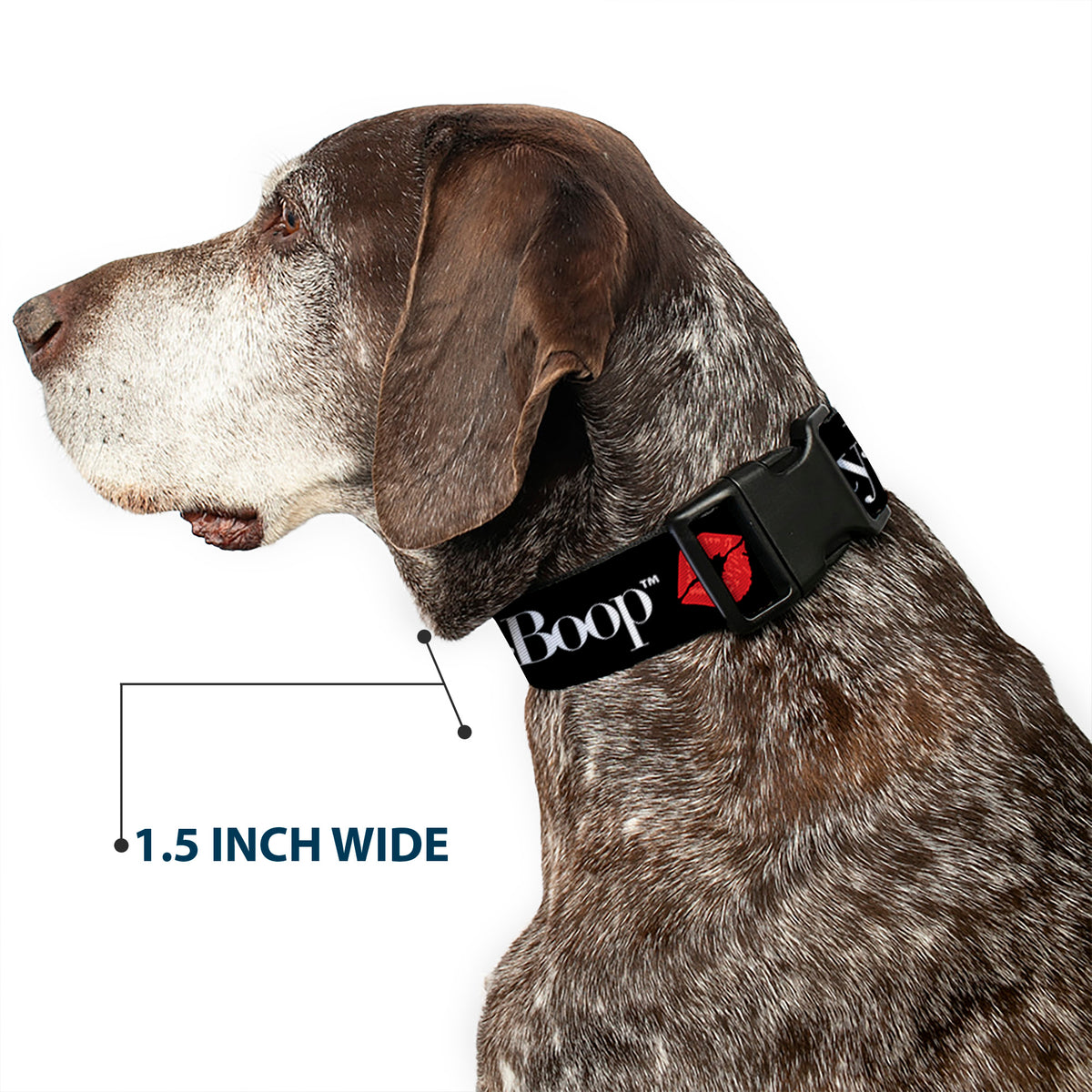 Plastic Clip Collar - BETTY BOOP Text and Kiss Black/White/Red Dog Collars Plastic Clip Side Release Betty Boop