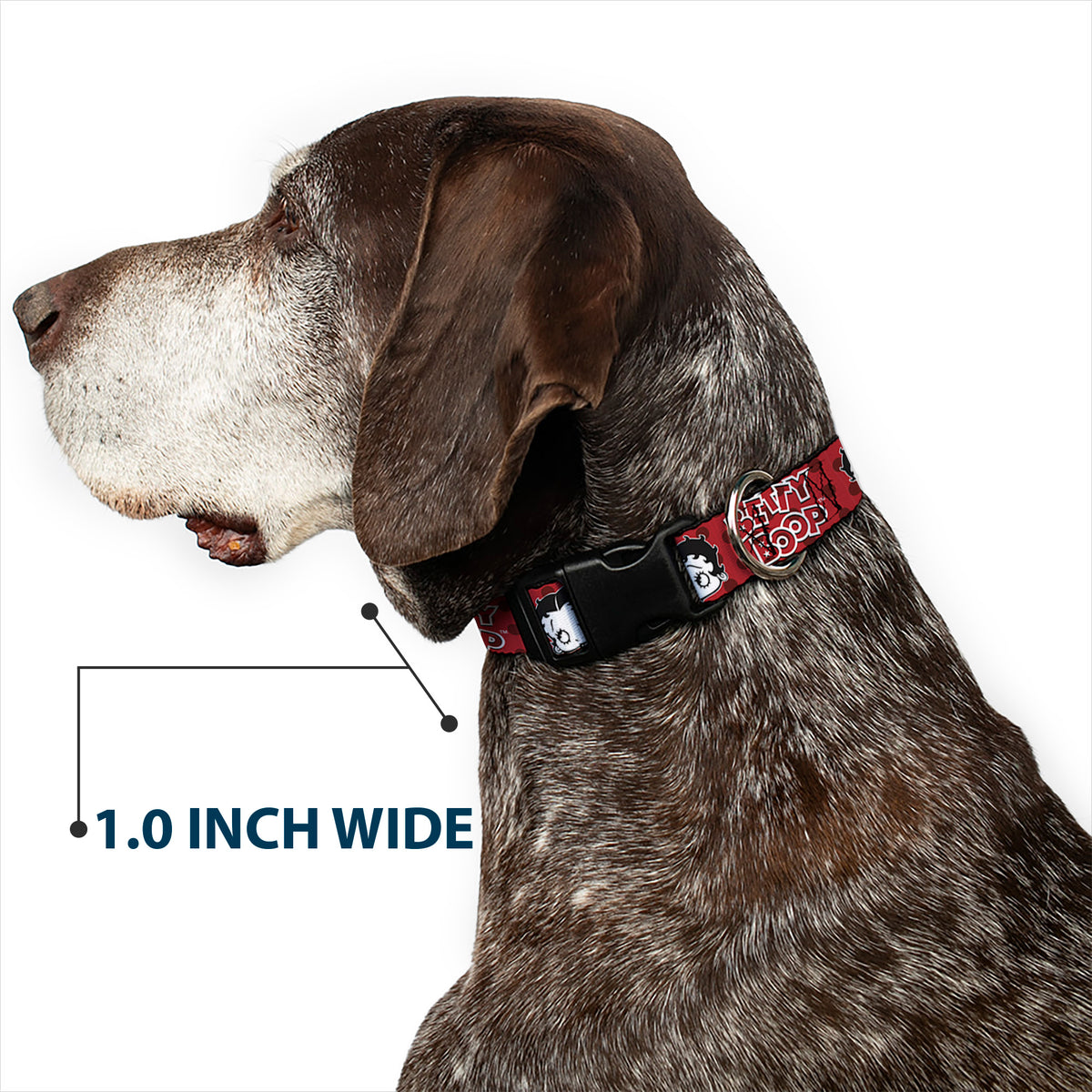 Plastic Clip Collar - BETTY BOOP Face and Text Polka Dot Reds/Black/White Dog Collars Plastic Clip Side Release Betty Boop