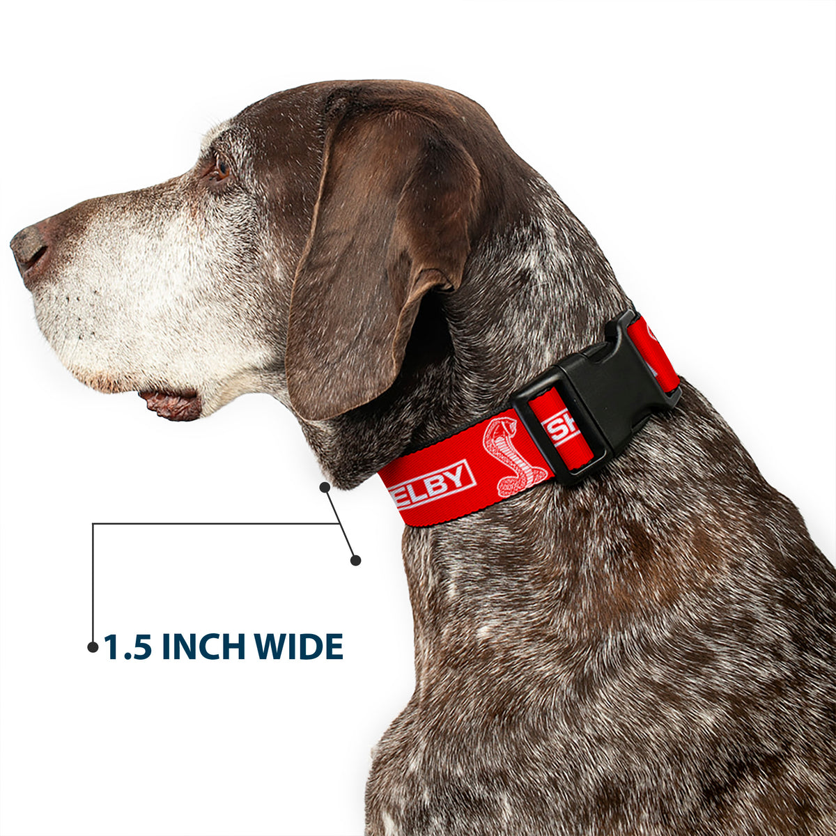 Plastic Clip Collar - SHELBY Box Logo and Super Snake Cobra Red/White Dog Collars Plastic Clip Side Release Shelby