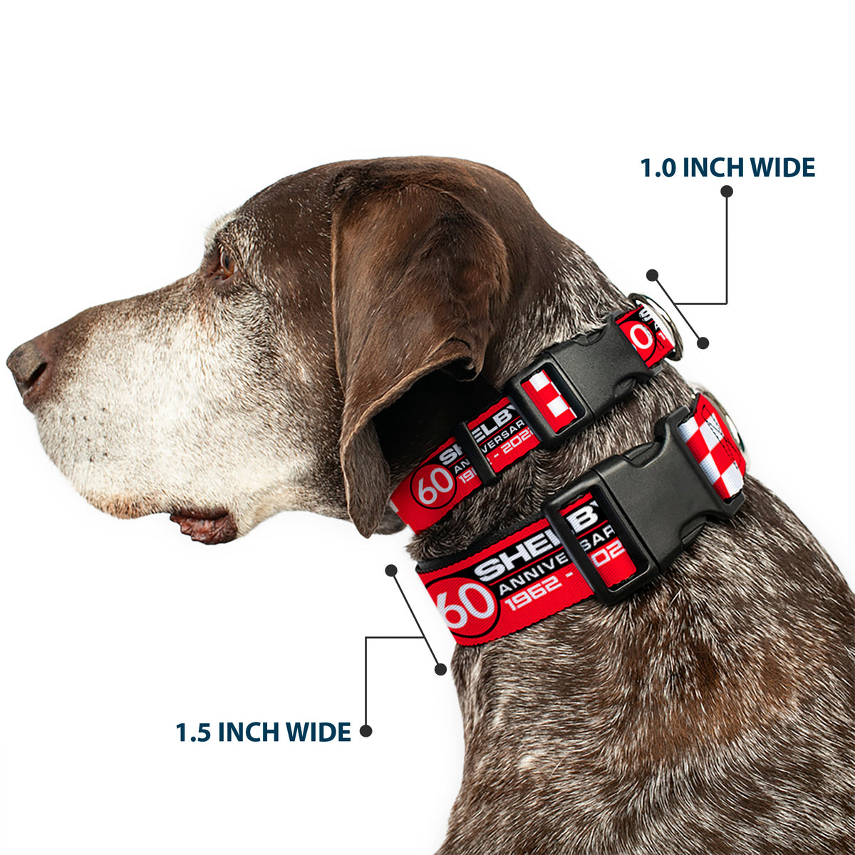 Plastic Clip Collar - SHELBY 60th ANNIVERSARY Checker Red/Black/White Dog Collars Plastic Clip Side Release Shelby