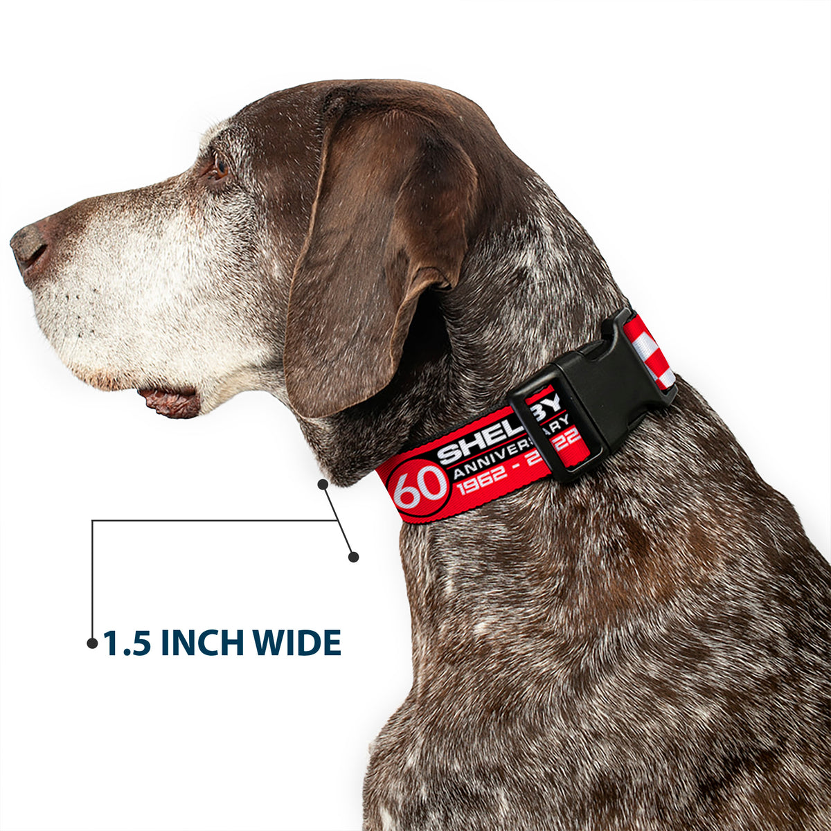 Plastic Clip Collar - SHELBY 60th ANNIVERSARY Checker Red/Black/White Dog Collars Plastic Clip Side Release Shelby