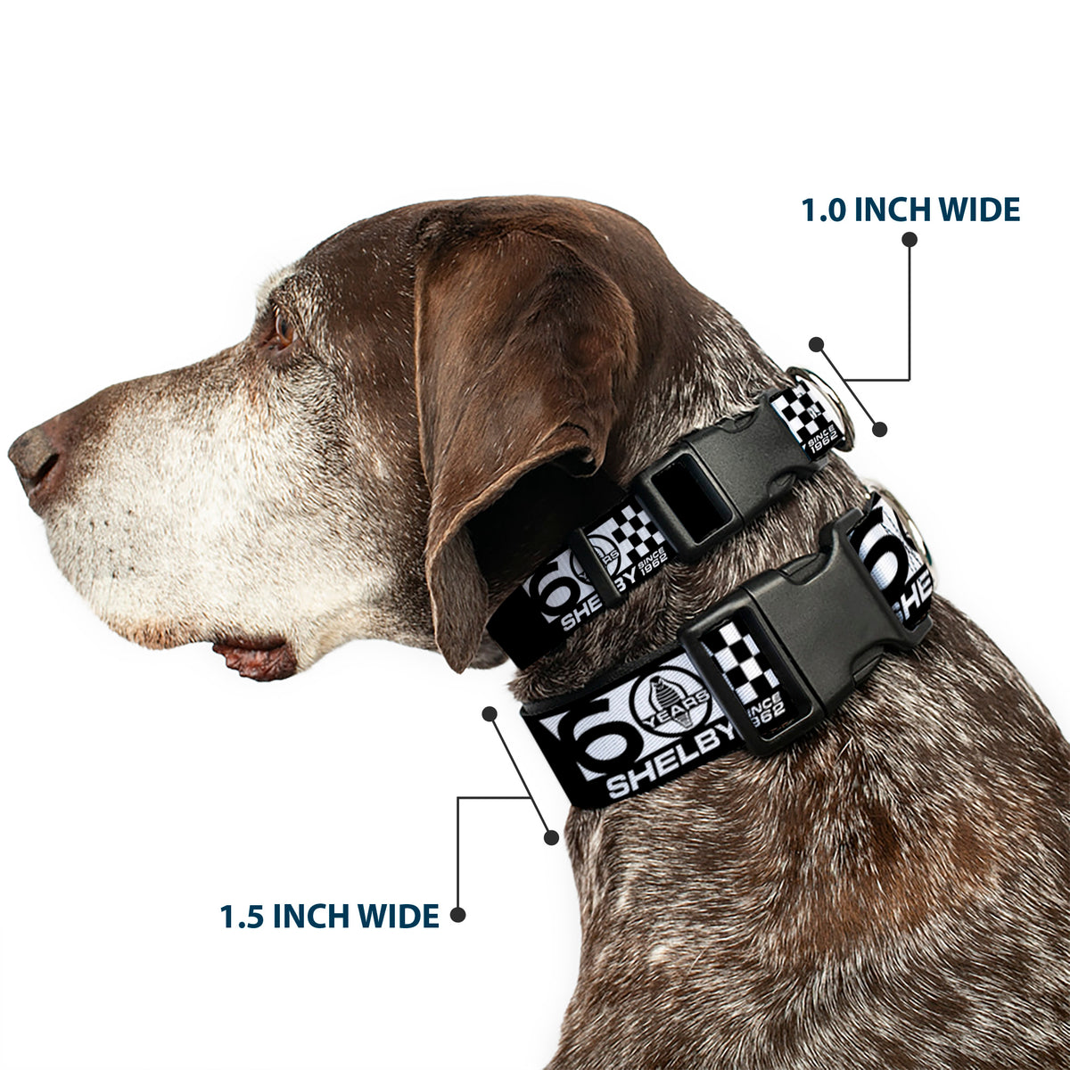 Plastic Clip Collar - SHELBY 60 YEARS SINCE 1962 Checker Black/White Dog Collars Plastic Clip Side Release Shelby