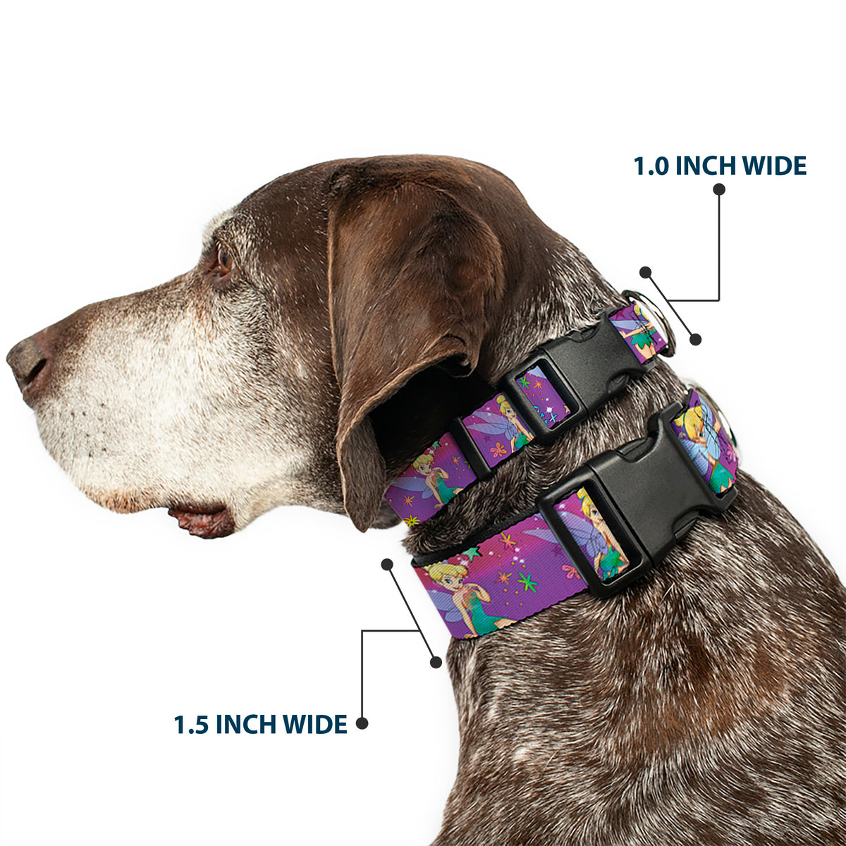 Plastic Clip Collar - Tinker Bell Poses/Flowers/Stars/Skull Purple Dog Collars Plastic Clip Side Release Disney