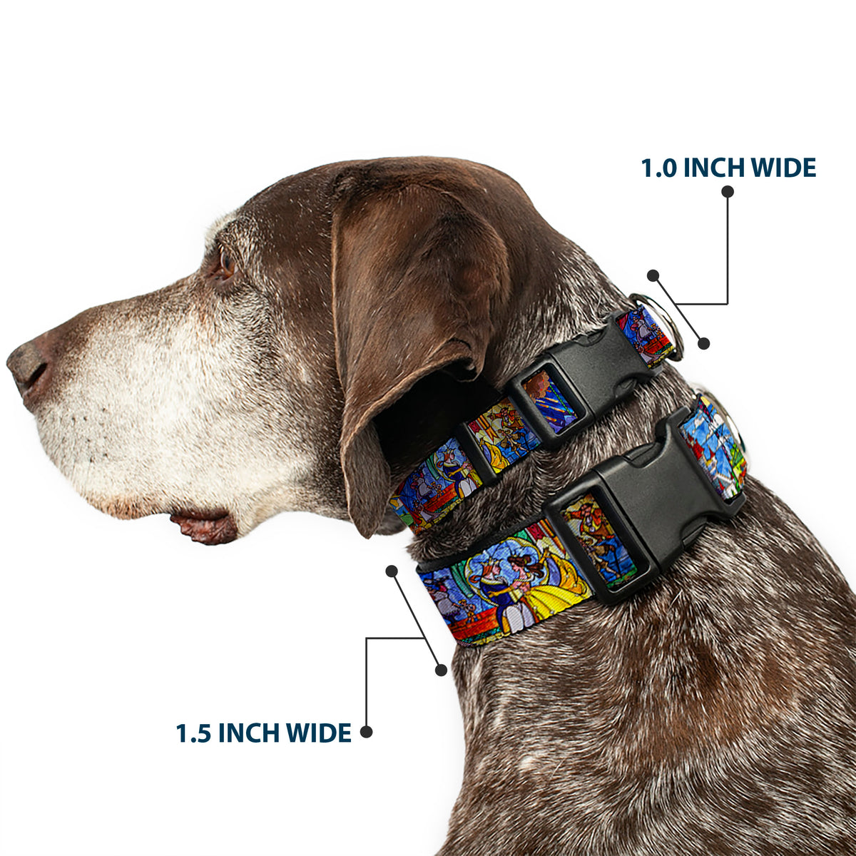 Plastic Clip Collar - Beauty & the Beast Stained Glass Scenes Dog Collars Plastic Clip Side Release Disney
