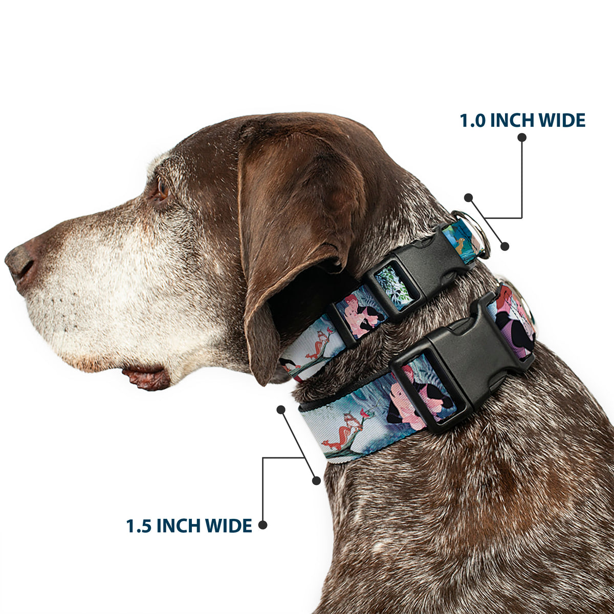 Plastic Clip Collar - Sleeping Beauty Woods Scenes Dog Collars Plastic Clip Side Release Disney