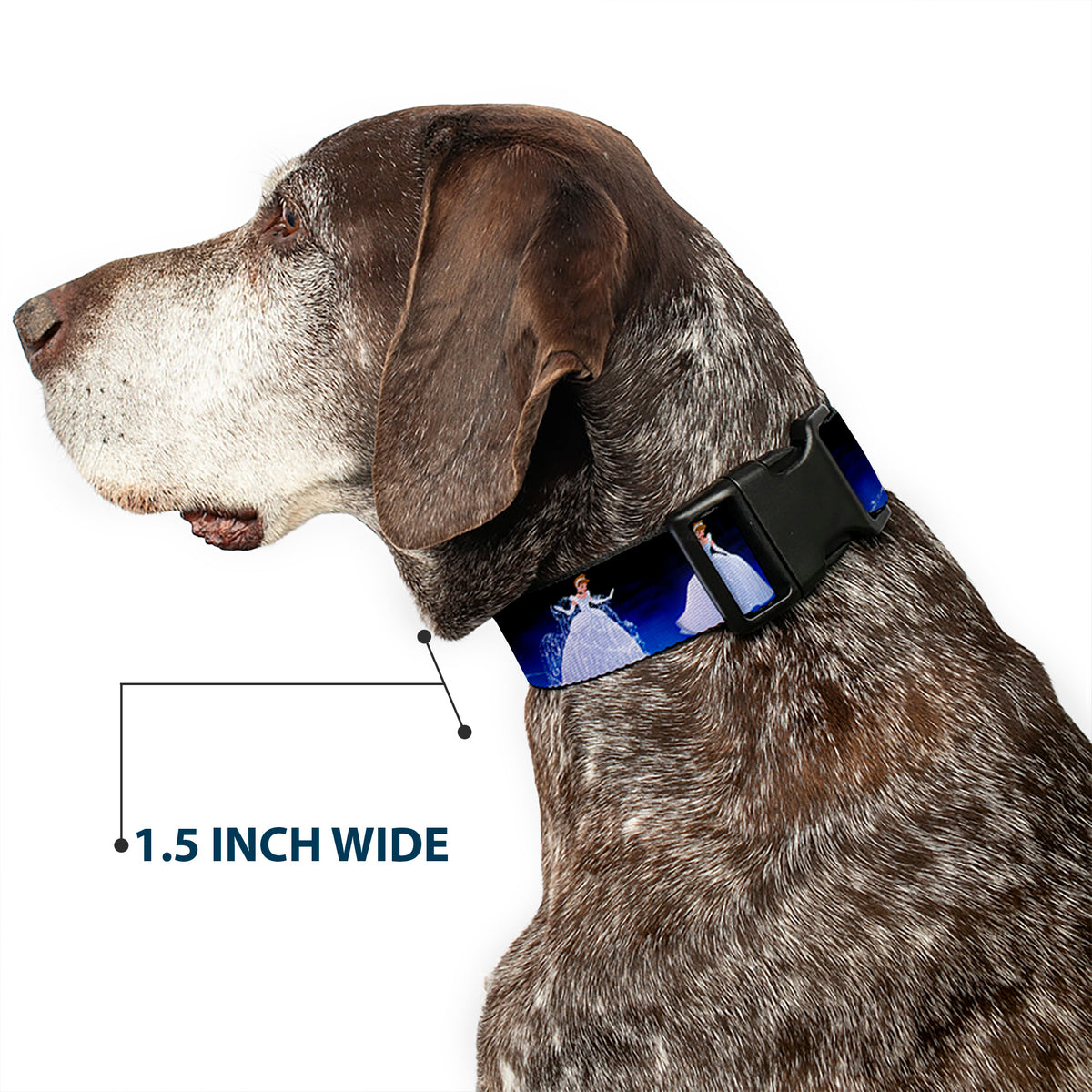 Plastic Clip Collar - Cinderella Transformation Blue Fade Dog Collars Plastic Clip Side Release Disney