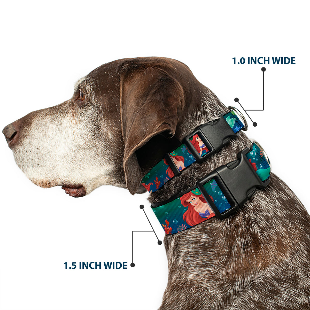 Plastic Clip Collar - Ariel Poses w/Flounder Green/Blue Fade Dog Collars Plastic Clip Side Release Disney