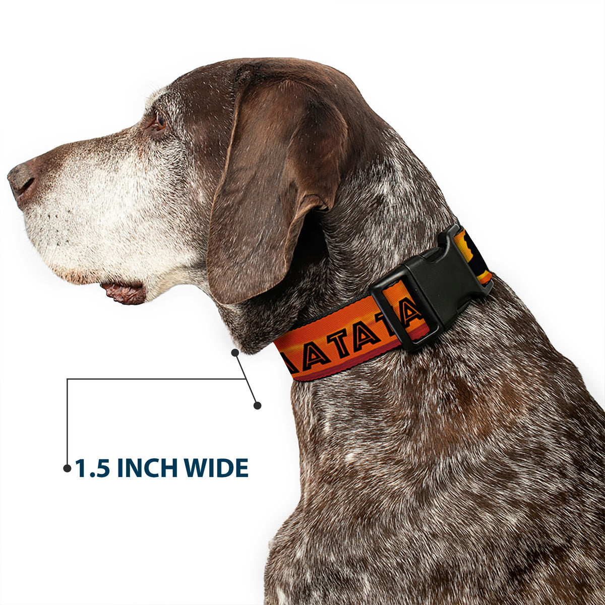 Plastic Clip Collar - Lion King HAKUNA MATATA Sunset Oranges/Black Dog Collars Plastic Clip Side Release Disney