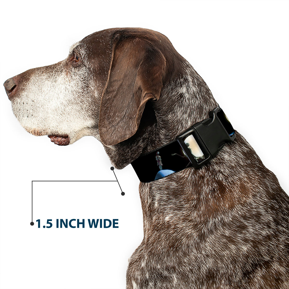 Plastic Clip Collar - NBC Jack & Sally Moon Scenes Dog Collars Plastic Clip Side Release Disney