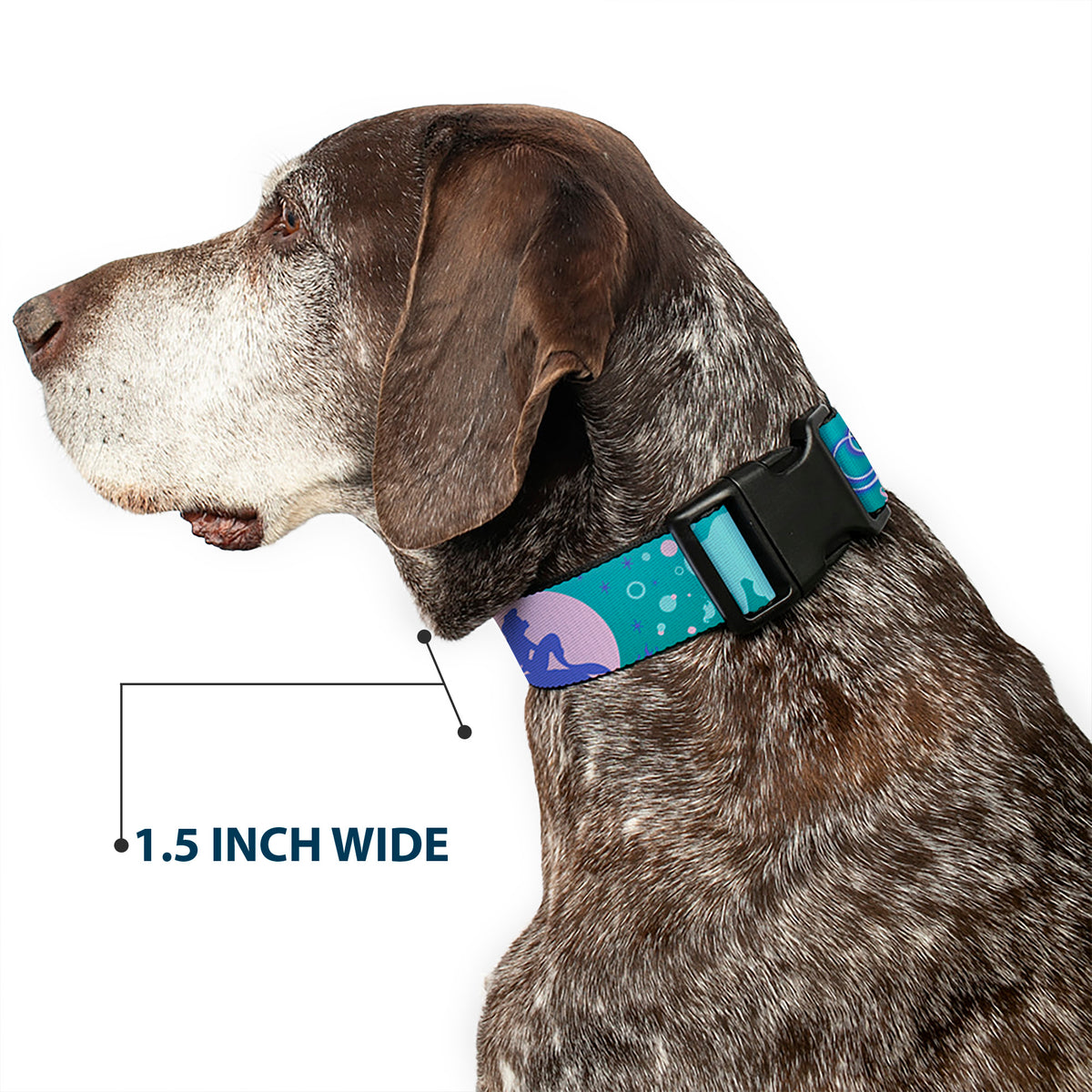 Plastic Clip Collar - Little Mermaid Silhouette Scenes PART OF YOUR WORLD Blues Dog Collars Plastic Clip Side Release Disney