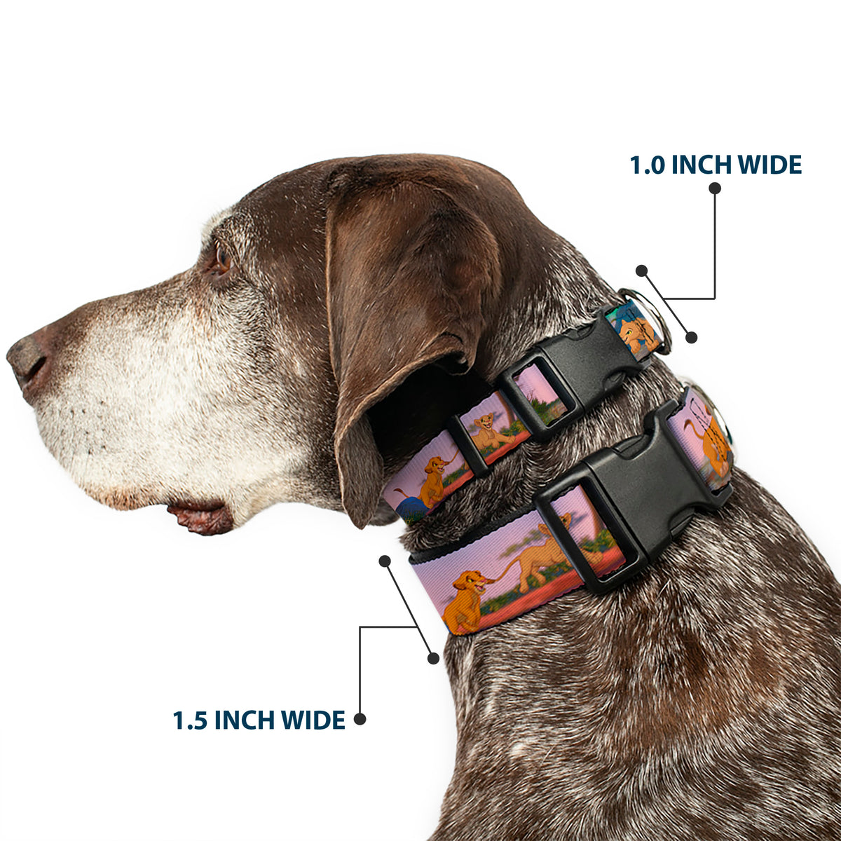Plastic Clip Collar - Lion King Simba & Nala Growing Up Scenes Dog Collars Plastic Clip Side Release Disney