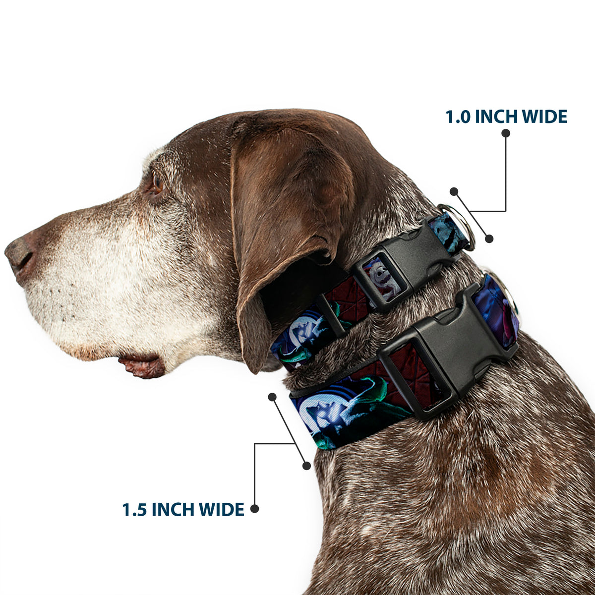 Plastic Clip Collar - Nightmare Before Christmas Jack, Oogie Boogie, Santa Scene Dog Collars Plastic Clip Side Release Disney