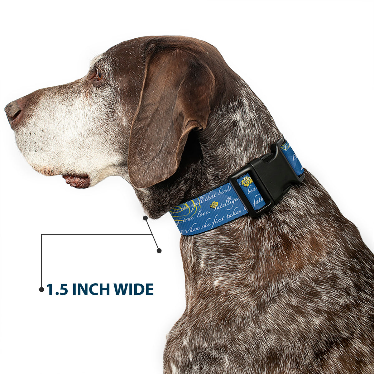 Plastic Clip Collar - Beauty & the Beast Story Script Dog Collars Plastic Clip Side Release Disney