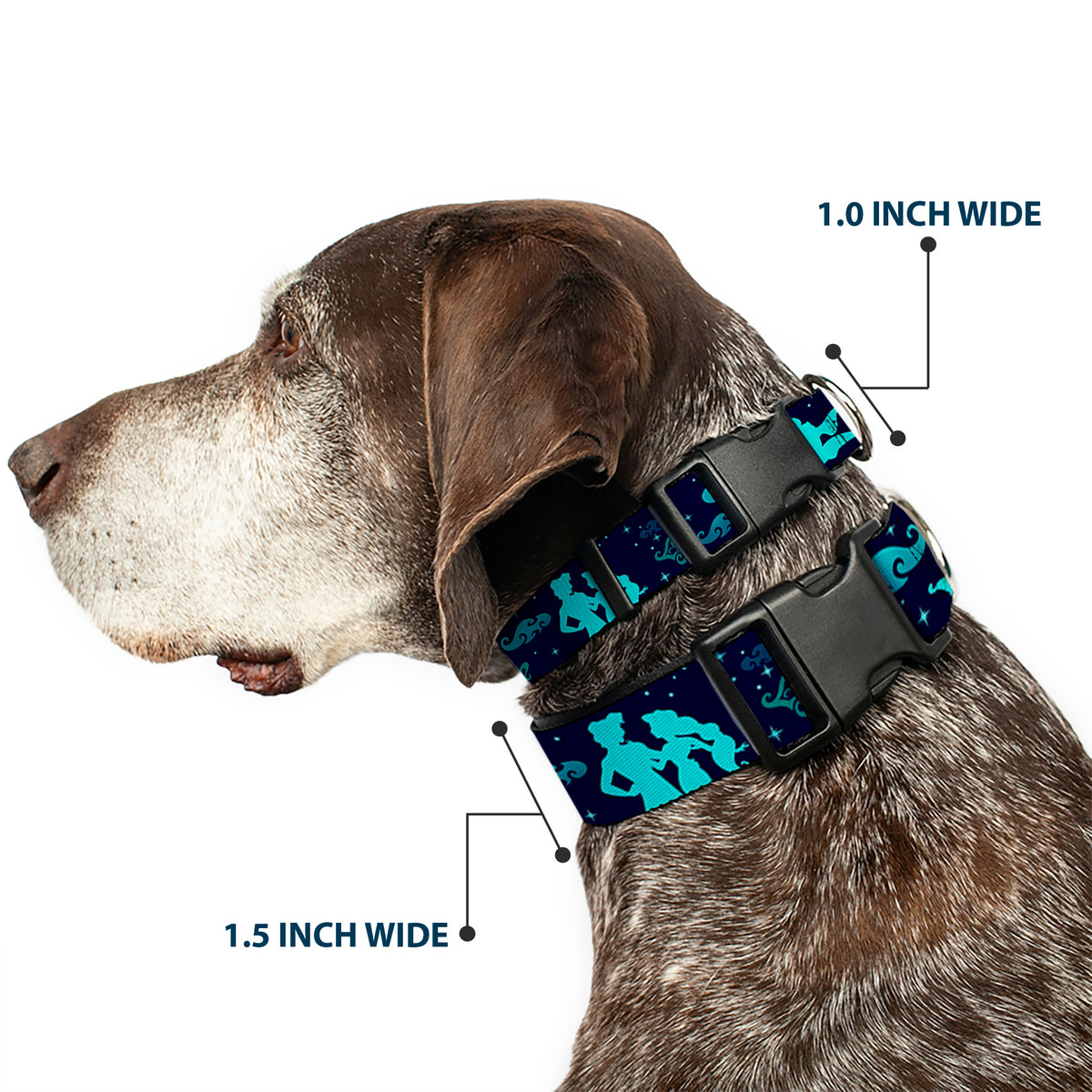Plastic Clip Collar - Aladdin & Jasmine Silhouette A WHOLE NEW WORLD Dog Collars Plastic Clip Side Release Disney