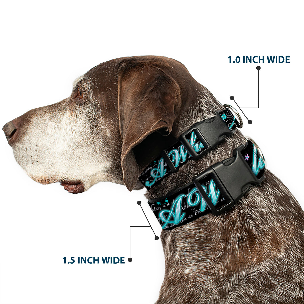 Plastic Clip Collar - Aladdin A WHOLE NEW WORLD/Story Script Dog Collars Plastic Clip Side Release Disney