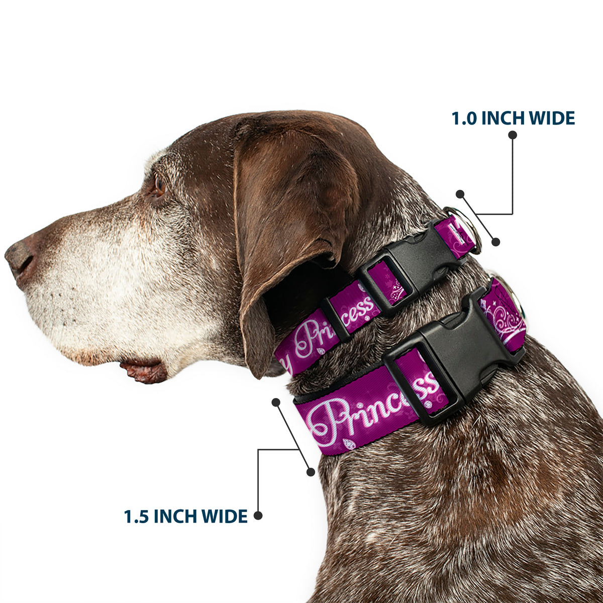 Plastic Clip Collar - I'M 99.9% SURE I'M A DISNEY PRINCESS Pinks/White Dog Collars Plastic Clip Side Release Disney