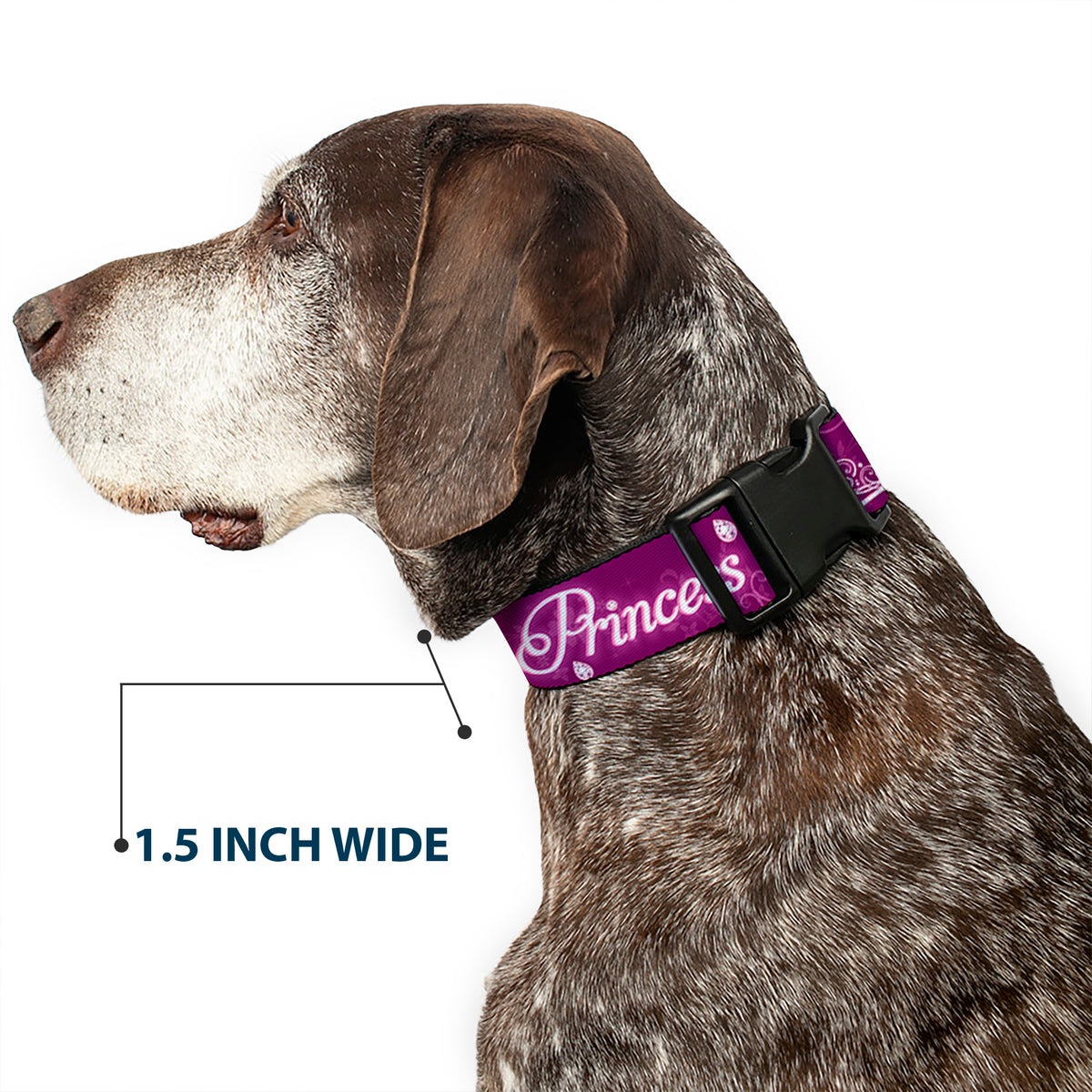 Plastic Clip Collar - I'M 99.9% SURE I'M A DISNEY PRINCESS Pinks/White Dog Collars Plastic Clip Side Release Disney
