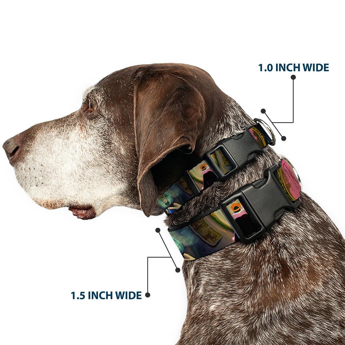 Plastic Clip Collar - Snow White Evil Queen Poses Dog Collars Plastic Clip Side Release Disney