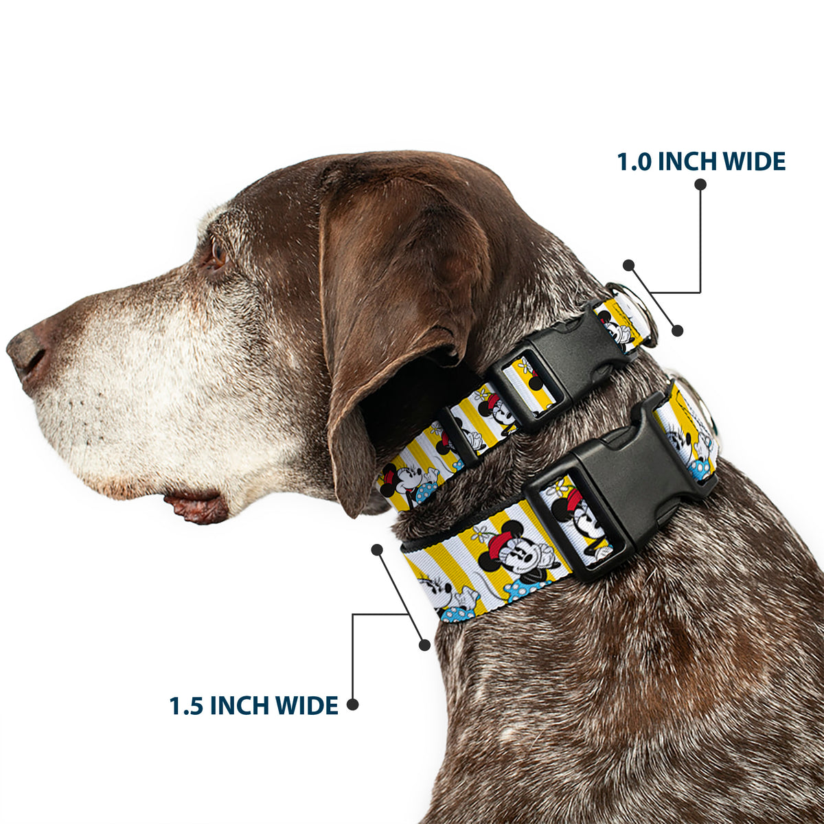 Plastic Clip Collar - Minnie Mouse w/Hat Poses Stripe Yellow/White Dog Collars Plastic Clip Side Release Disney