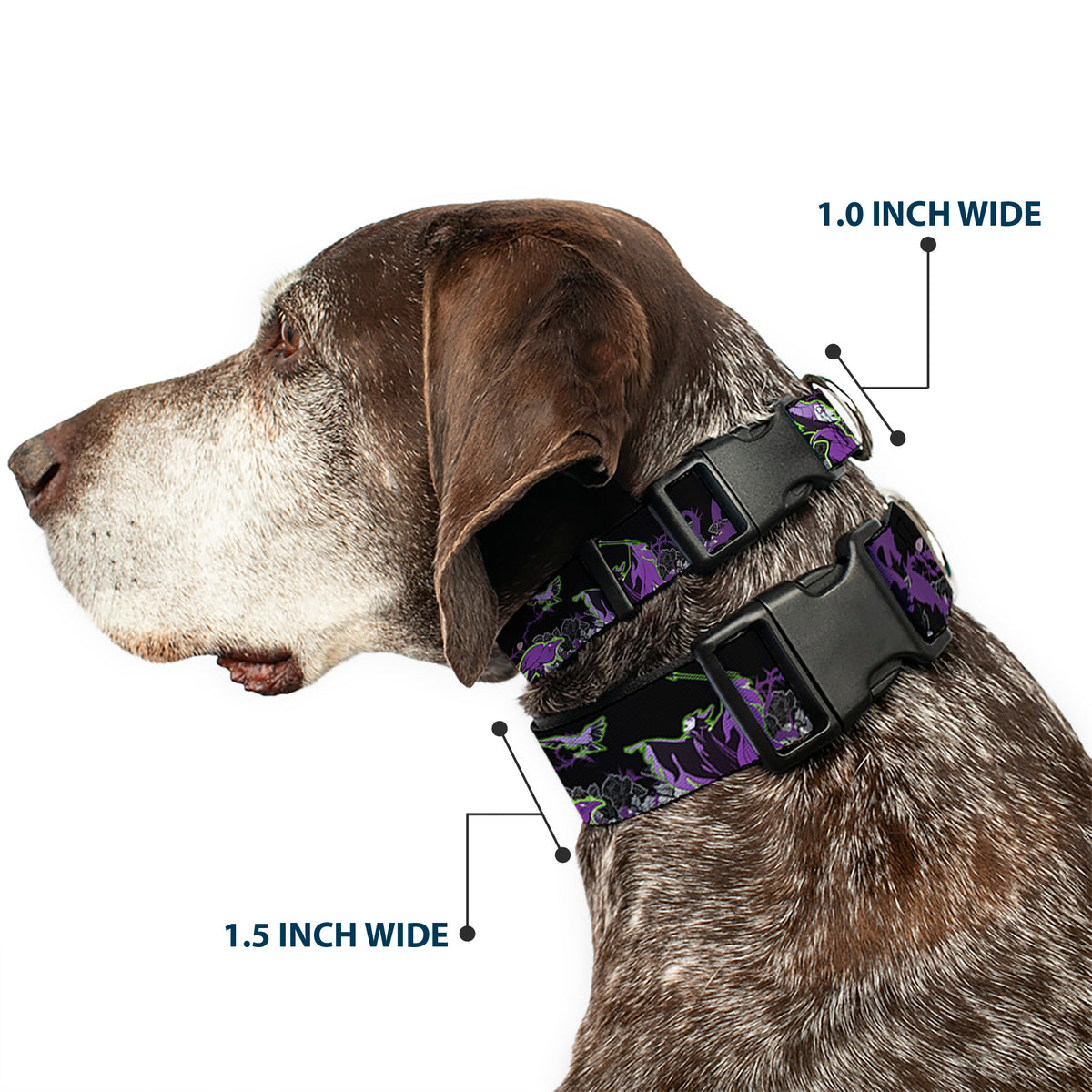 Plastic Clip Collar - Maleficent & Diablo Black Roses/Purples Dog Collars Plastic Clip Side Release Disney