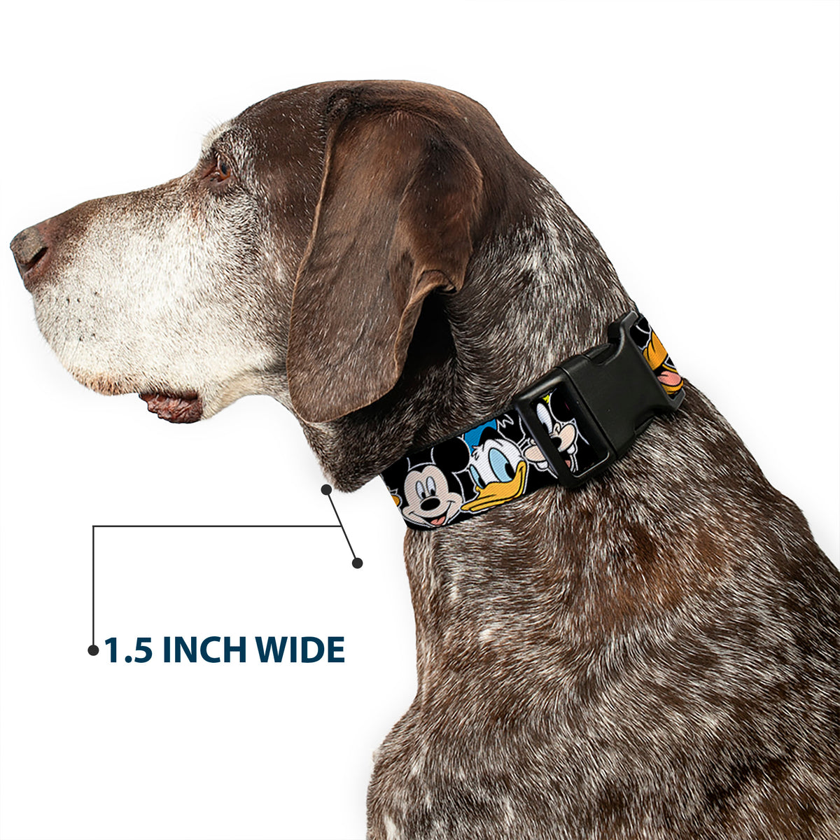 Plastic Clip Collar - Classic Disney Character Faces Black Dog Collars Plastic Clip Side Release Disney