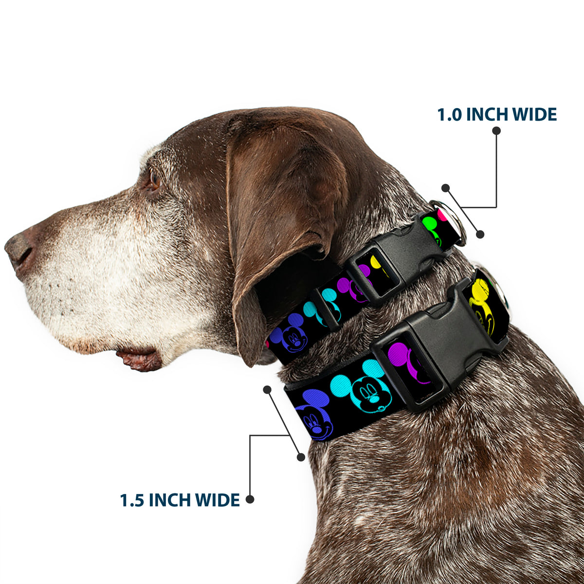 Plastic Clip Collar - Mickey Expressions Black/Multi Neon Dog Collars Plastic Clip Side Release Disney