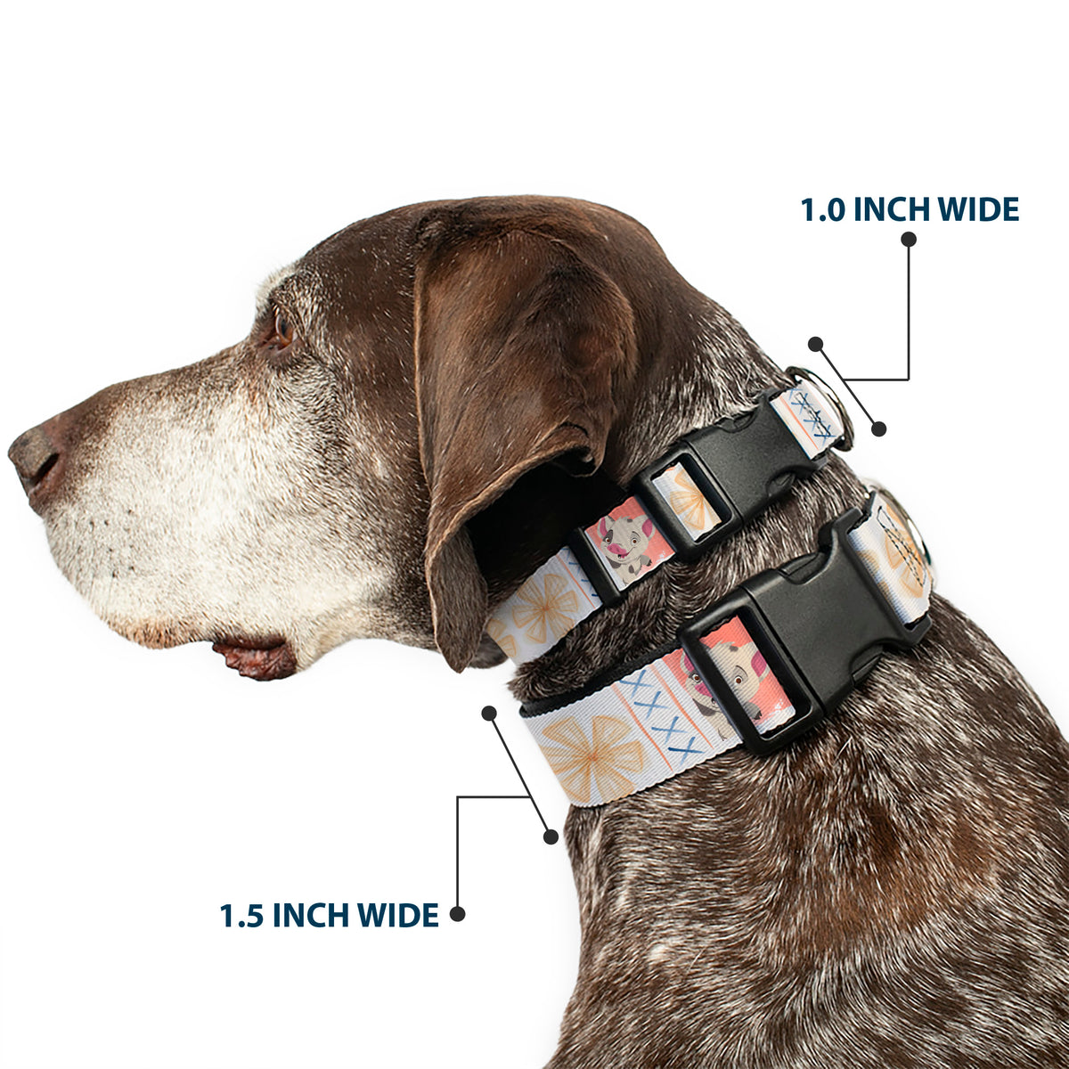 Plastic Clip Collar - Moana Pua and Hei Hei Pose Blocks White/Multi Color Dog Collars Plastic Clip Side Release Disney