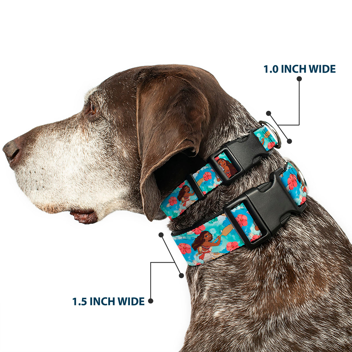 Plastic Clip Collar - Moana Poses and Pua Flowers Blues Dog Collars Plastic Clip Side Release Disney