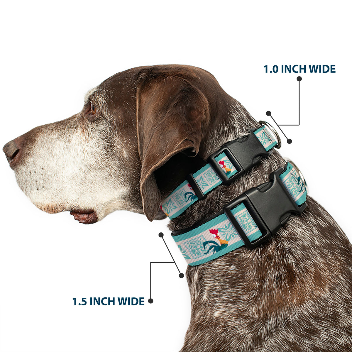 Plastic Clip Collar - Moana Hei Hei the Rooster Pose and Icon Blocks White/Light Green Dog Collars Plastic Clip Side Release Disney