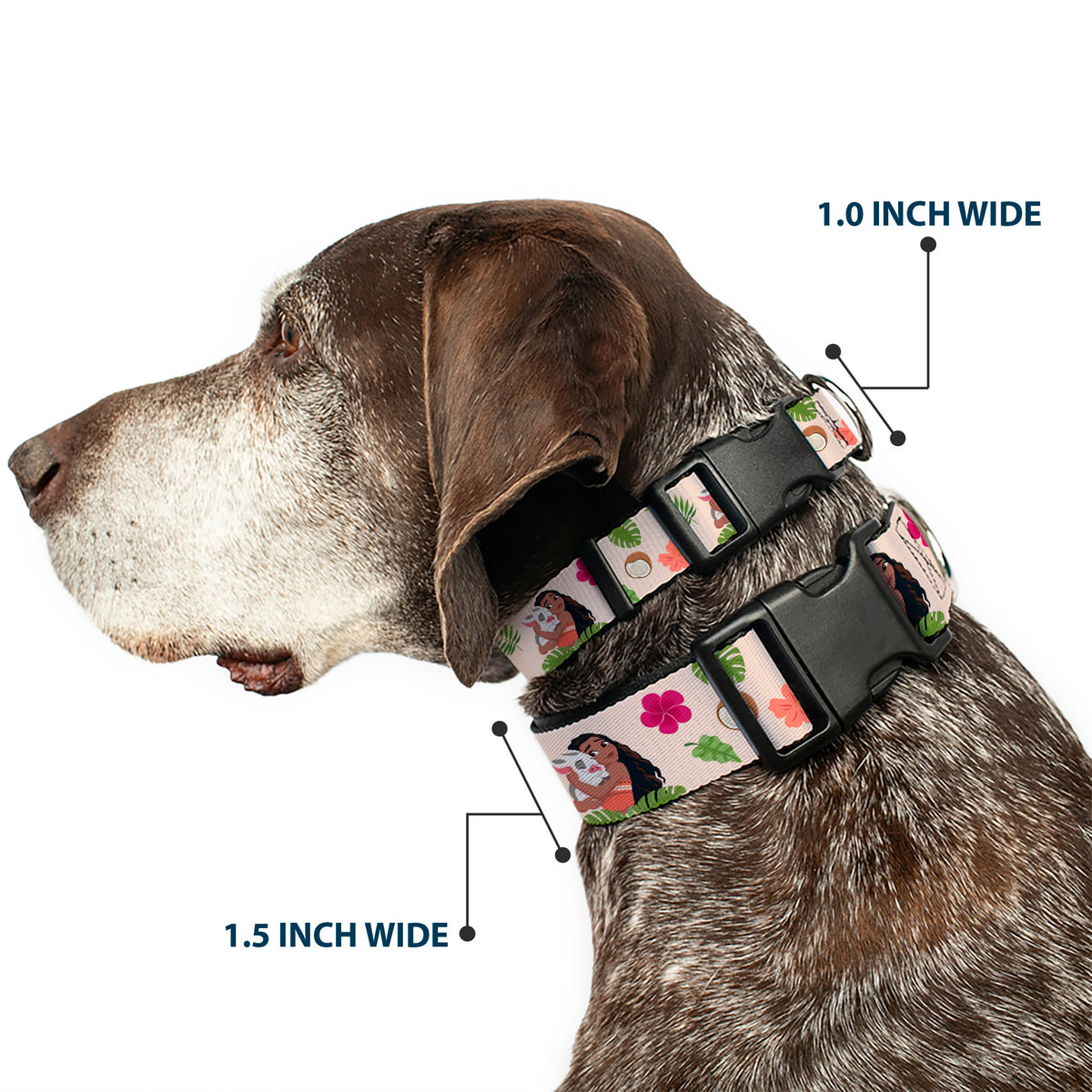 Plastic Clip Collar - Moana Hugging Pua Pose and Tropical Flora Beige Dog Collars Plastic Clip Side Release Disney
