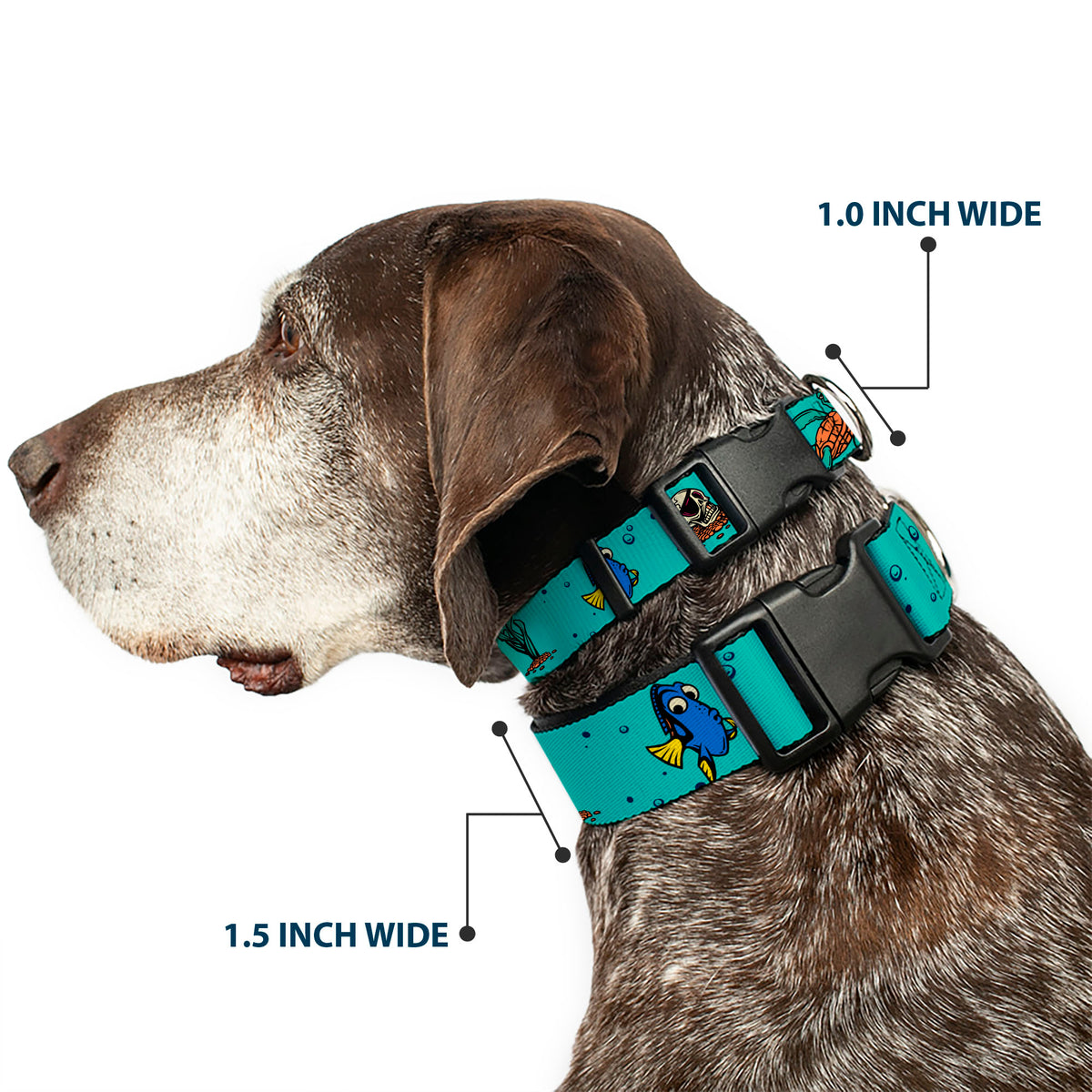 Plastic Clip Collar - Finding Nemo Fish and Under Sea Treasures Aqua Blue Dog Collars Plastic Clip Side Release Disney