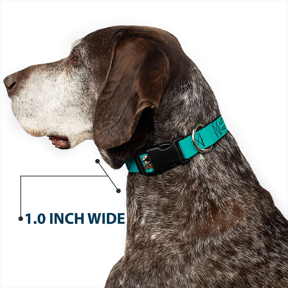 Plastic Clip Collar - Finding Nemo Fish and Under Sea Treasures Aqua Blue Dog Collars Plastic Clip Side Release Disney