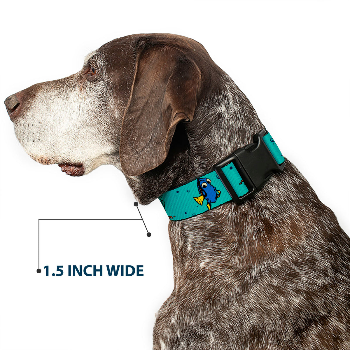 Plastic Clip Collar - Finding Nemo Fish and Under Sea Treasures Aqua Blue Dog Collars Plastic Clip Side Release Disney