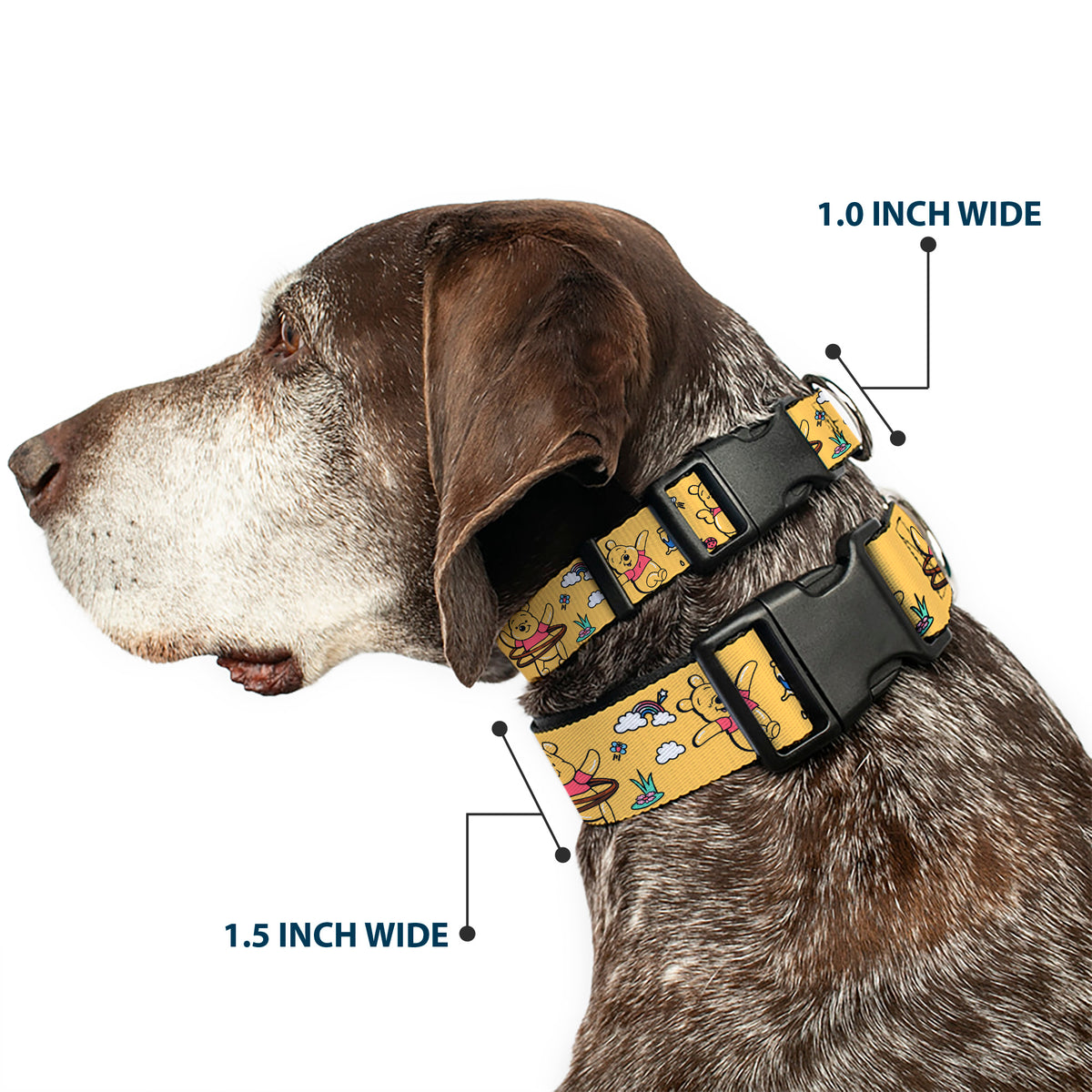 Plastic Clip Collar - Winnie the Pooh Happy Poses Golden Yellow Dog Collars Plastic Clip Side Release Disney
