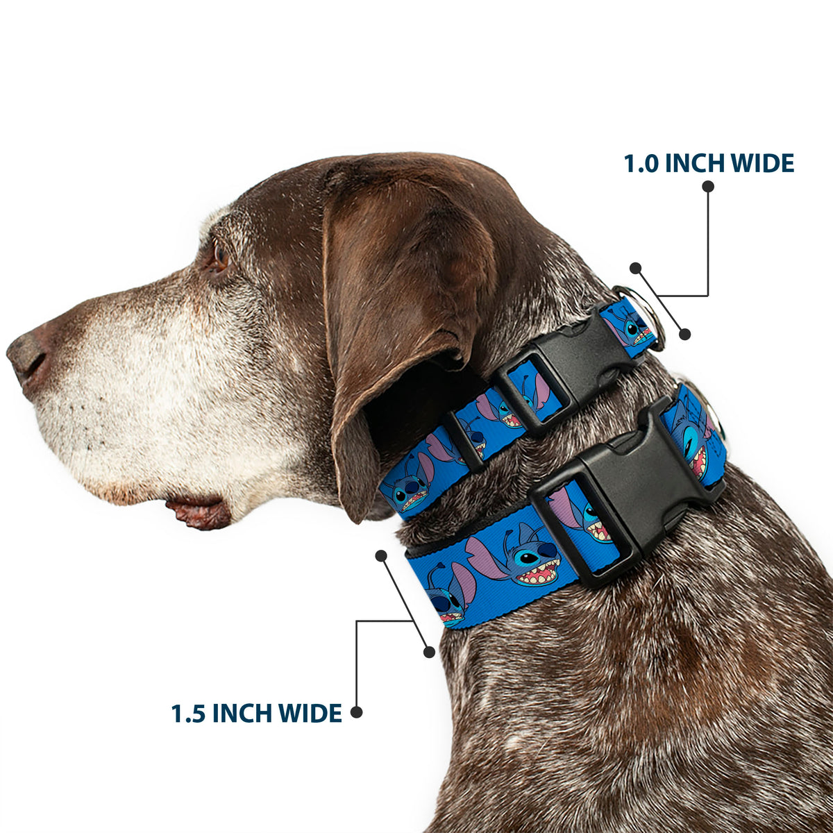 Plastic Clip Collar - Lilo and Stitch Stitch Expressions Blue Dog Collars Plastic Clip Side Release Disney