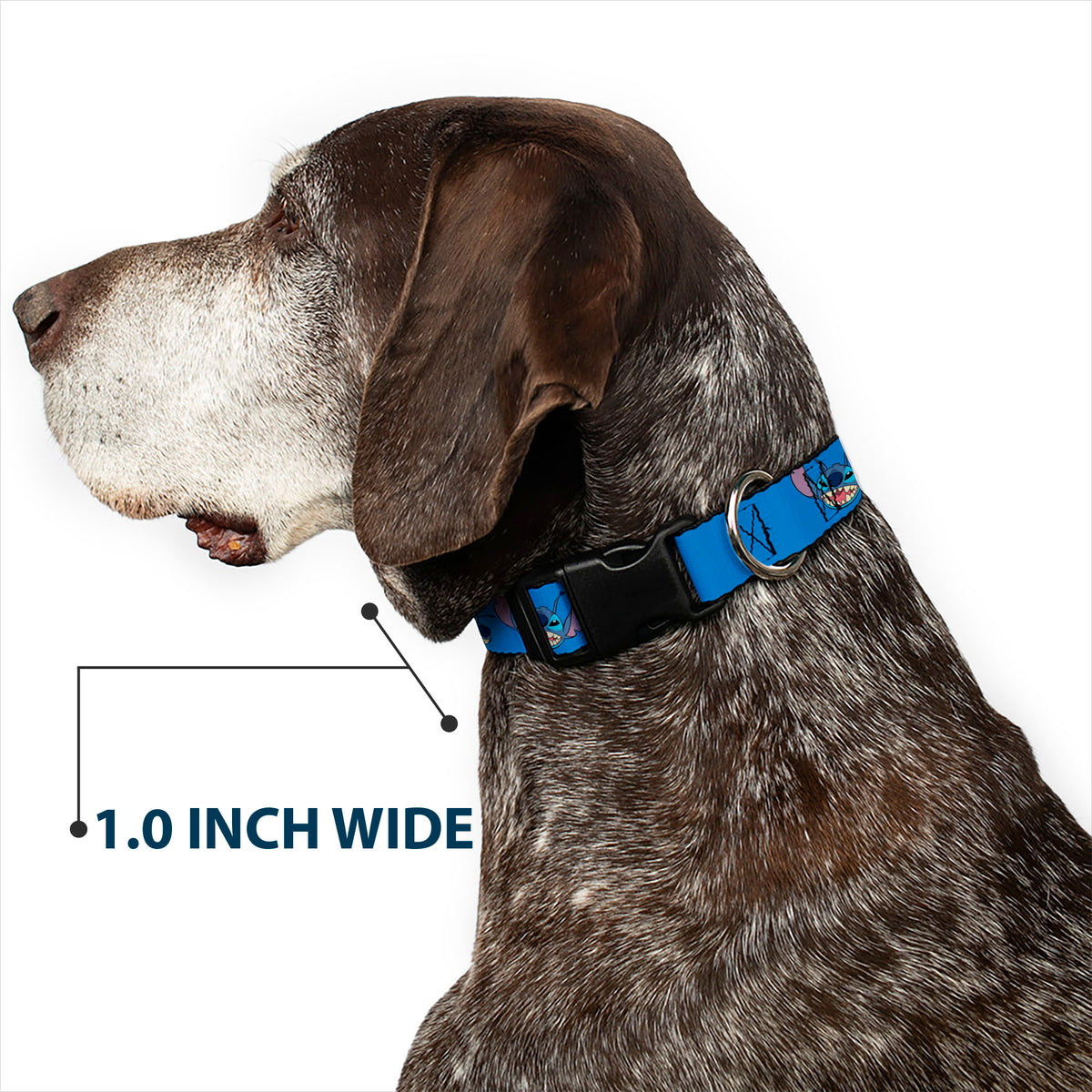 Plastic Clip Collar - Lilo and Stitch Stitch Expressions Blue Dog Collars Plastic Clip Side Release Disney