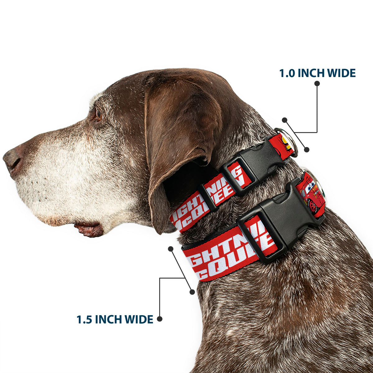 Plastic Clip Collar - Cars 95 LIGHTNING MCQUEEN Text and Pose Red Dog Collars Plastic Clip Side Release Disney