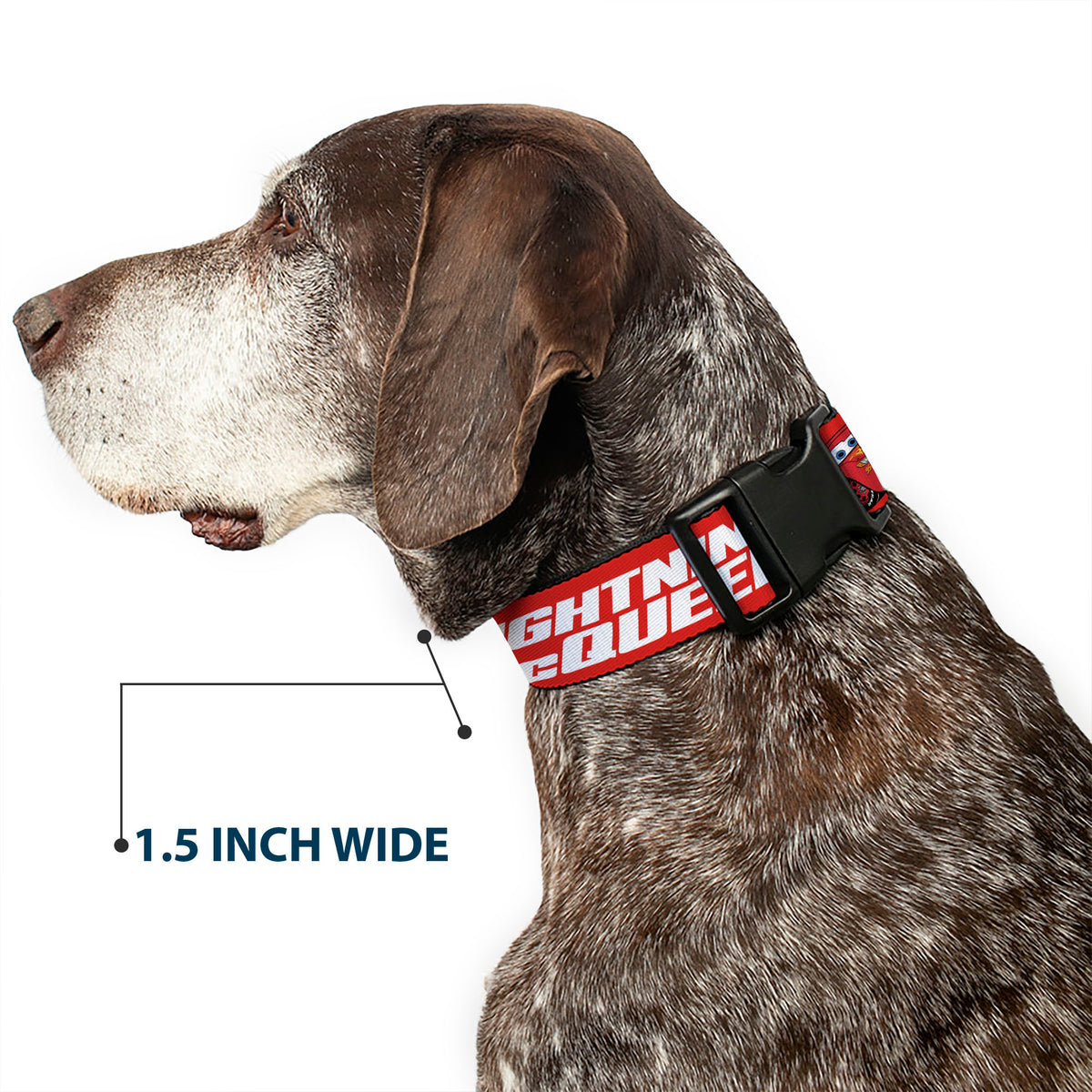 Plastic Clip Collar - Cars 95 LIGHTNING MCQUEEN Text and Pose Red Dog Collars Plastic Clip Side Release Disney