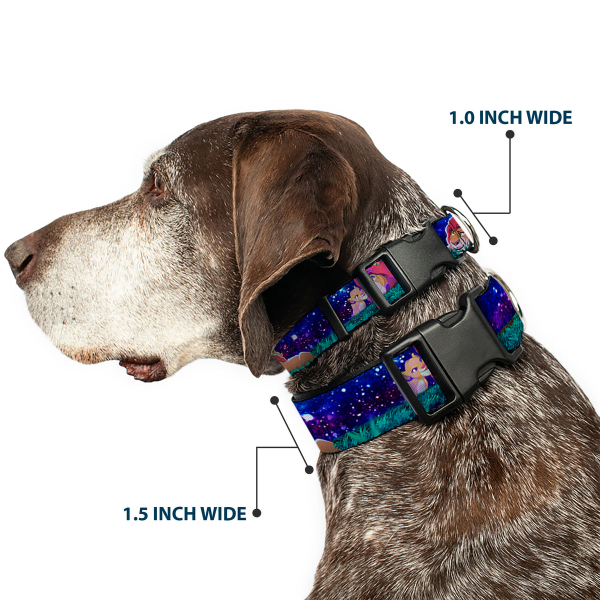 Plastic Clip Collar - Mufasa & Simba Night Poses Dog Collars Plastic Clip Side Release Disney