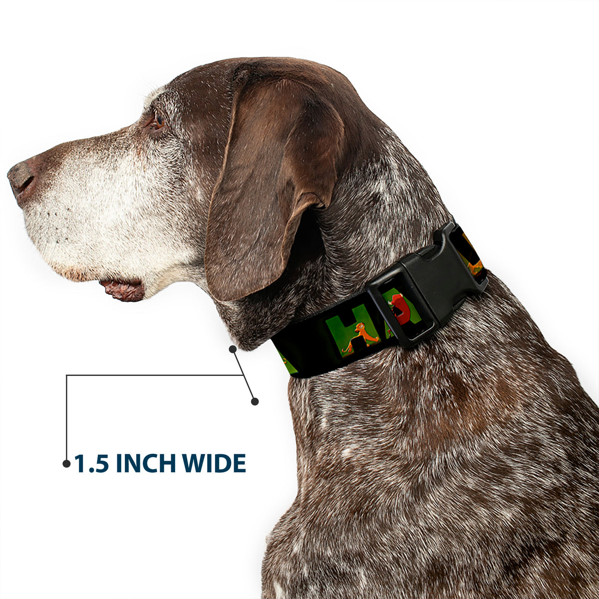 Plastic Clip Collar - HAKUNA MATATA Black/Lion King Scenes Dog Collars Plastic Clip Side Release Disney