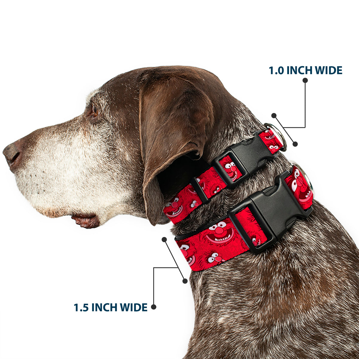 Plastic Clip Collar - Animal Expressions Scattered Reds Dog Collars Plastic Clip Side Release Disney