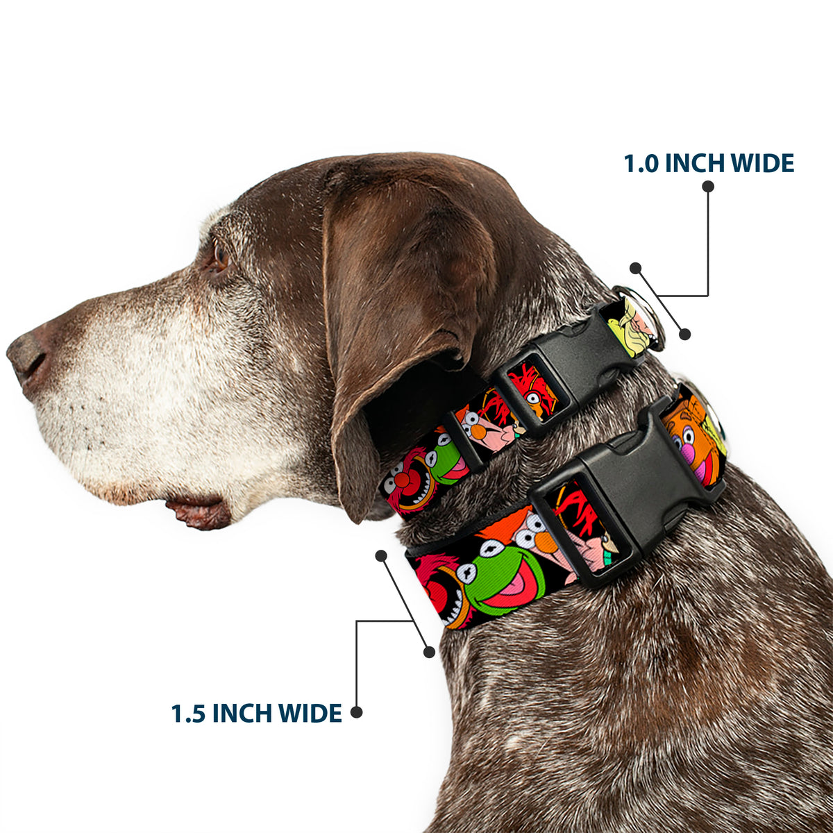 Plastic Clip Collar - Muppets Faces Black Dog Collars Plastic Clip Side Release Disney