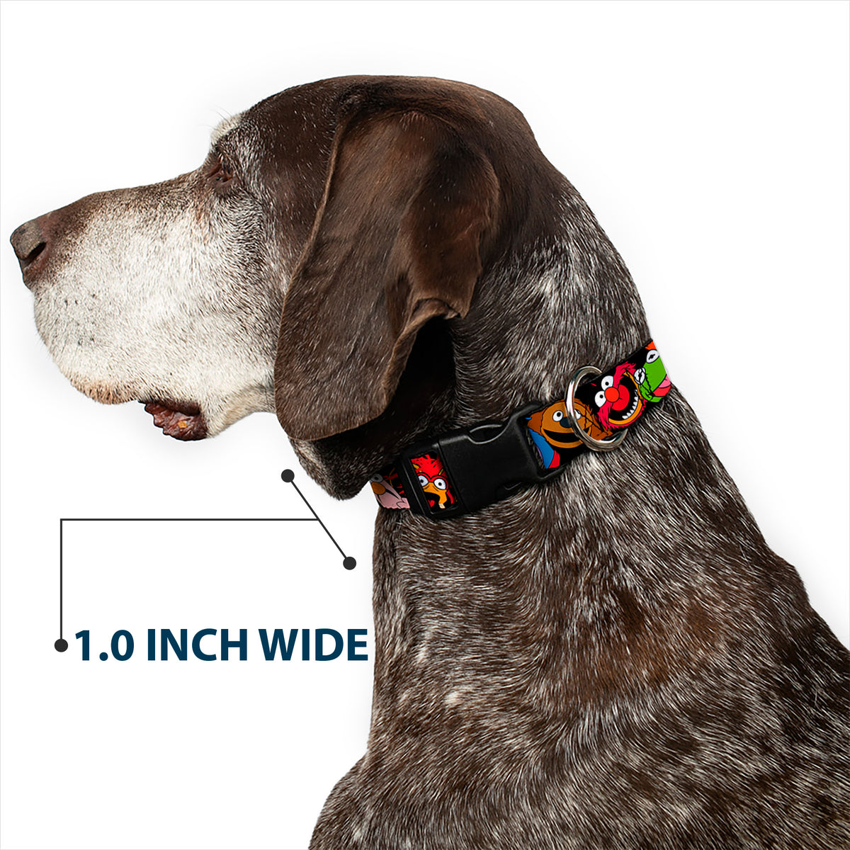 Plastic Clip Collar - Muppets Faces Black Dog Collars Plastic Clip Side Release Disney