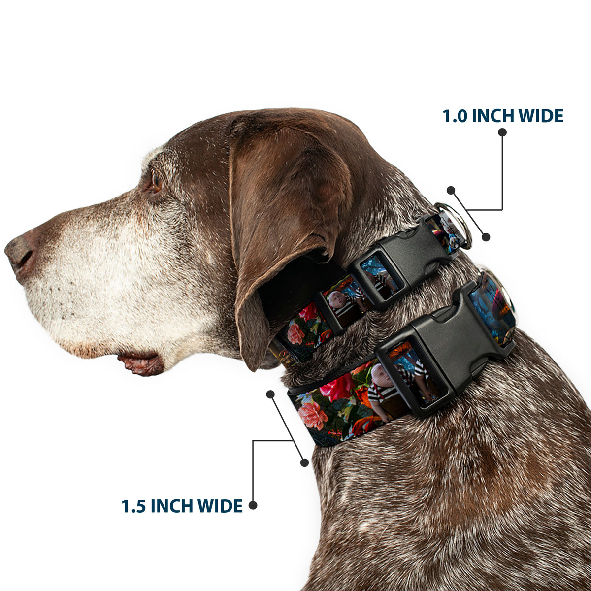 Plastic Clip Collar - Alice in Wonderland Movie Encounters Dog Collars Plastic Clip Side Release Disney