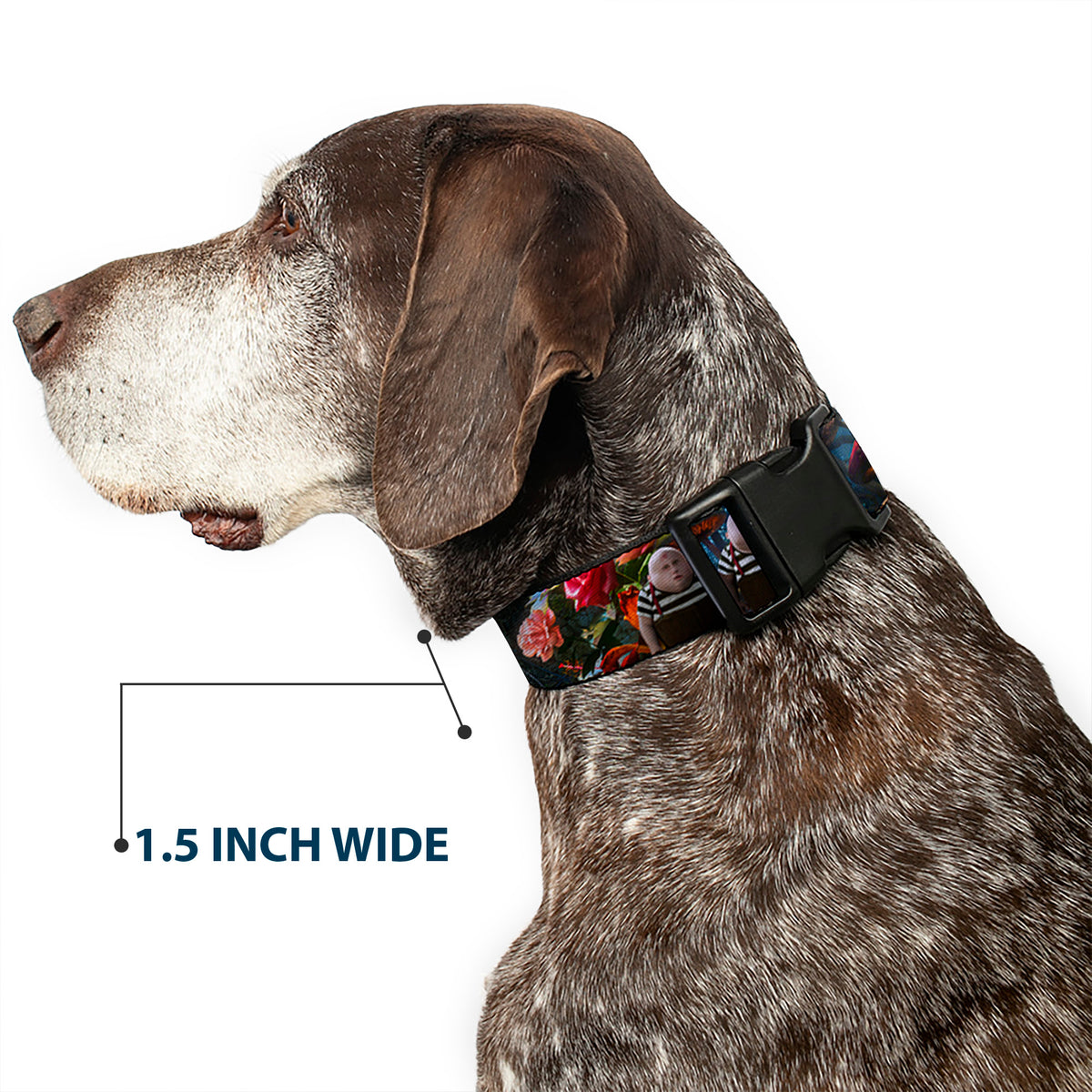Plastic Clip Collar - Alice in Wonderland Movie Encounters Dog Collars Plastic Clip Side Release Disney