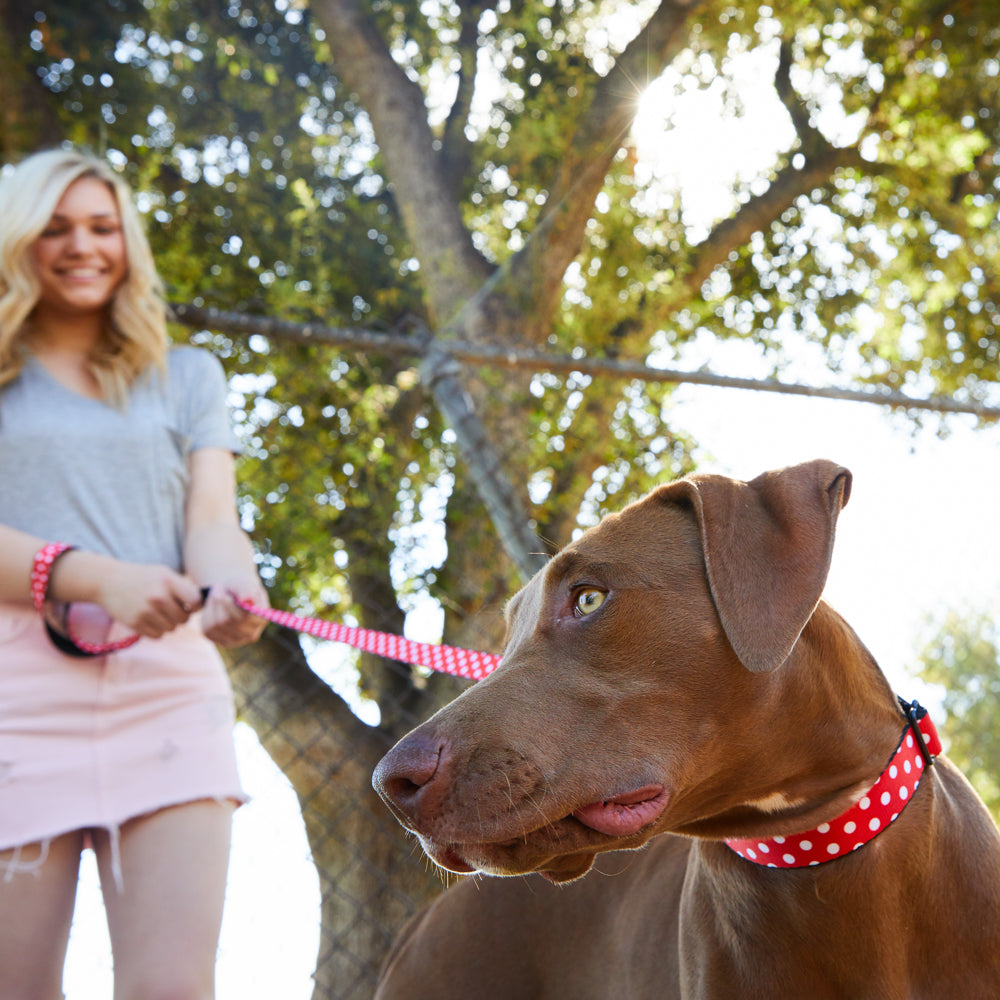Plastic Clip Collar - Minnie Mouse Polka Dots Red/White Dog Collars Plastic Clip Side Release Disney