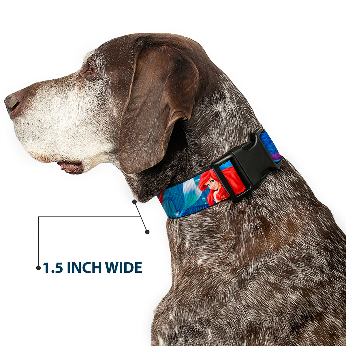 Plastic Clip Collar - Ariel Vivid Underwater Sparkle Poses/Castle Dog Collars Plastic Clip Side Release Disney