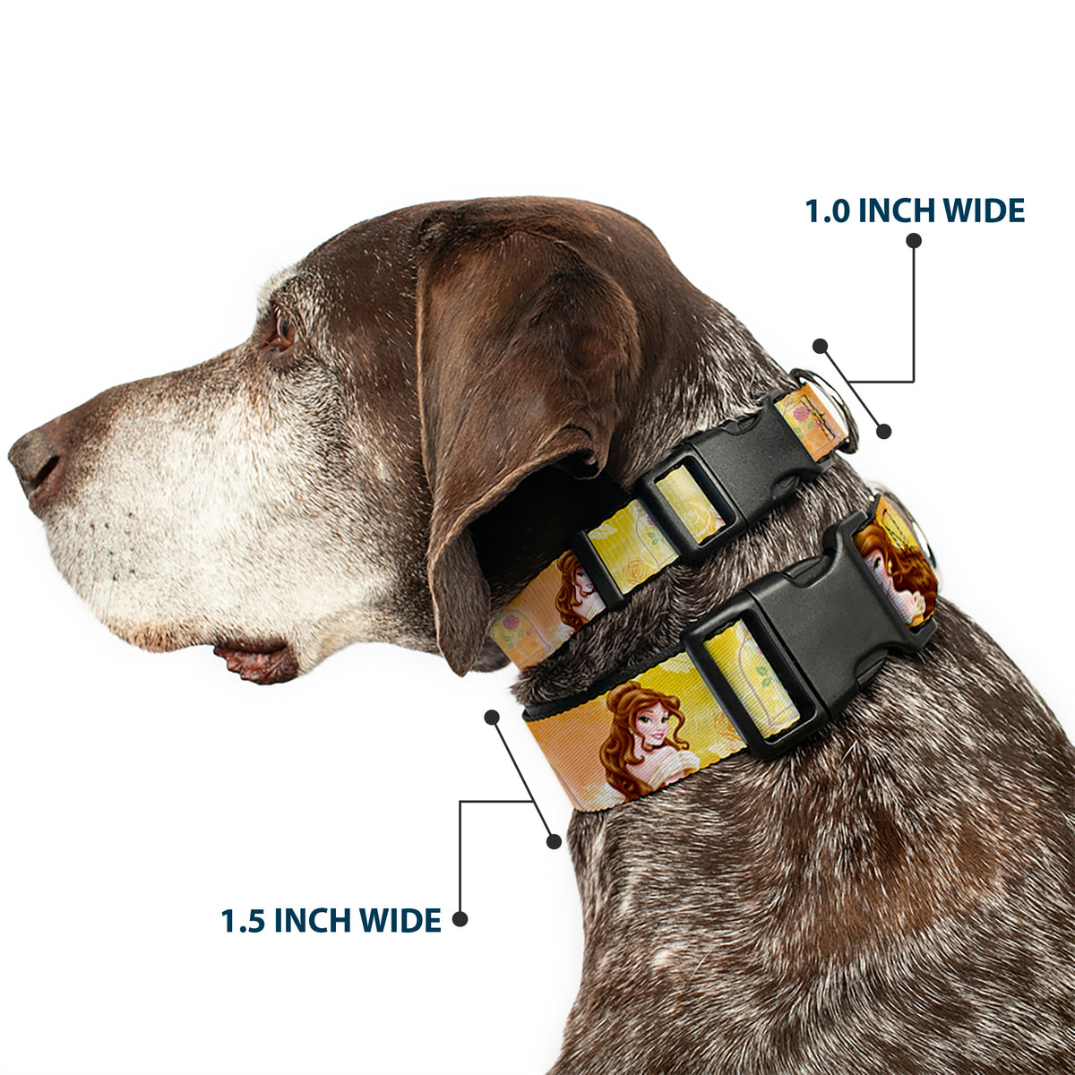 Plastic Clip Collar - Belle Poses/Enchanted Rose/Story Script Yellow/Pinks Dog Collars Plastic Clip Side Release Disney