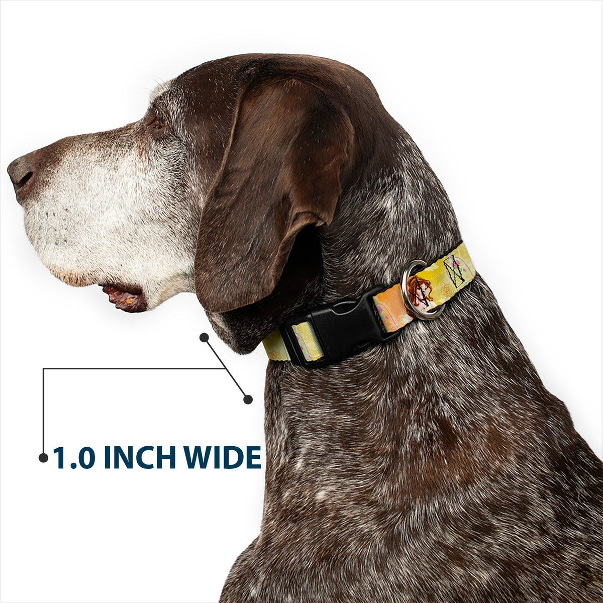 Plastic Clip Collar - Belle Poses/Enchanted Rose/Story Script Yellow/Pinks Dog Collars Plastic Clip Side Release Disney